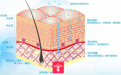超级微拉美