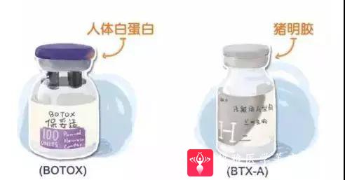 瘦脸针