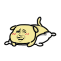 重庆超雅