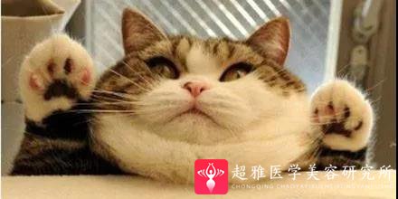 双下巴
