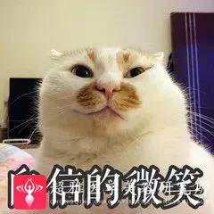 面部提升术