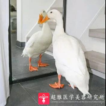 自体脂肪填充术