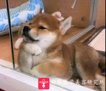 自体脂肪填充术