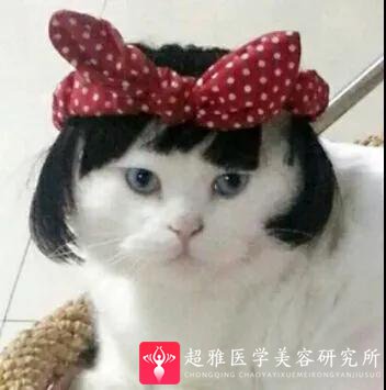 自体脂肪填充术