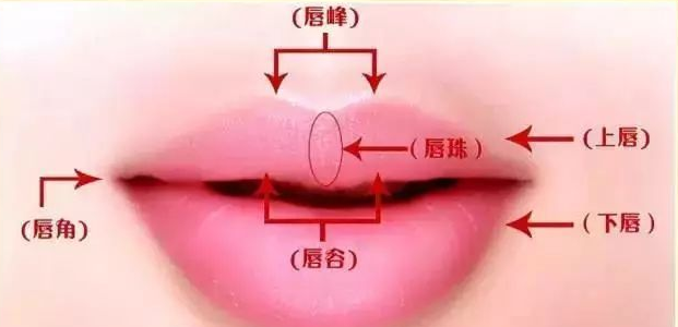 玻尿酸丰唇