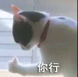 双眼皮手术