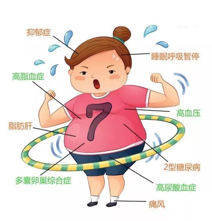 减肥方法