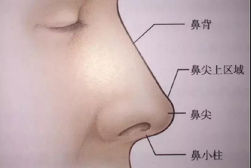 隆鼻手术