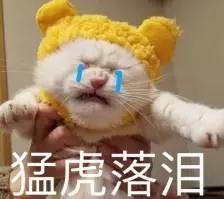 玻尿酸泪沟填充术