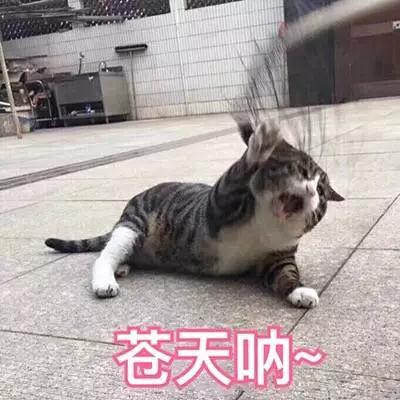 面部提升术