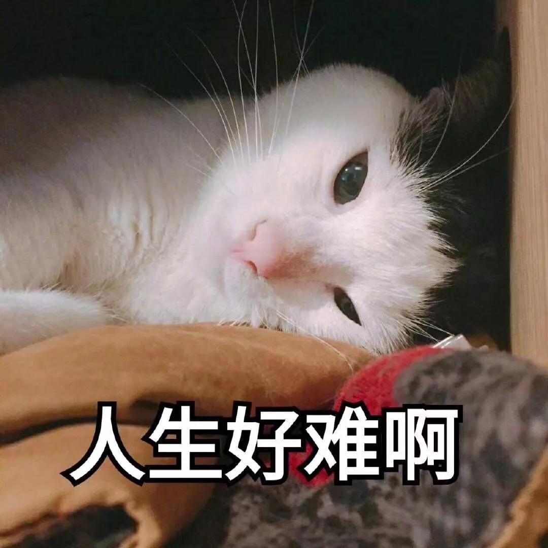 面部提升术