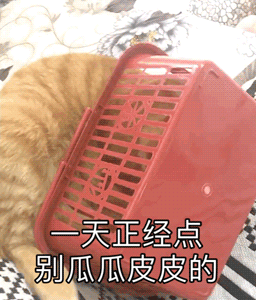 隆鼻手术