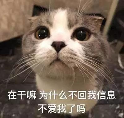 双眼皮手术
