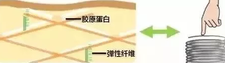 自体脂肪填充术