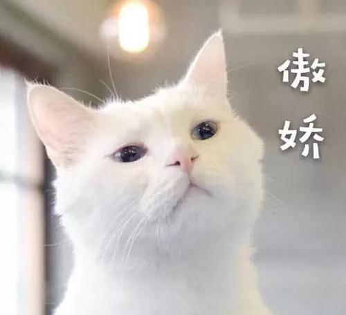 双眼皮手术