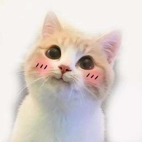 双眼皮手术