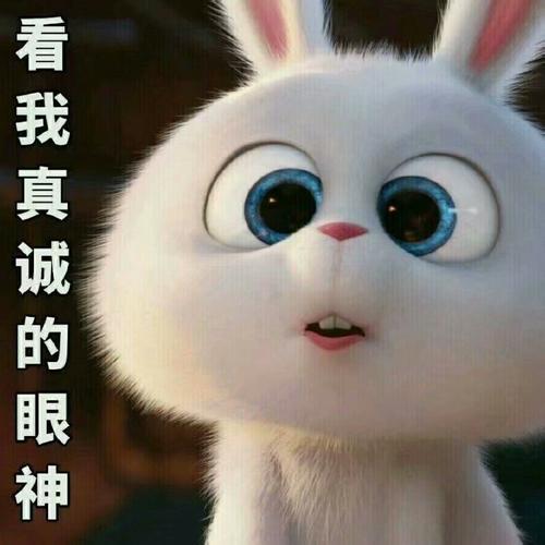 超声波去眼袋