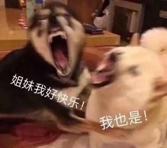 去眼袋手术