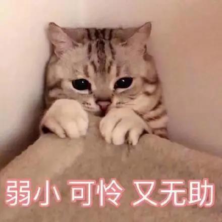 去眼袋手术