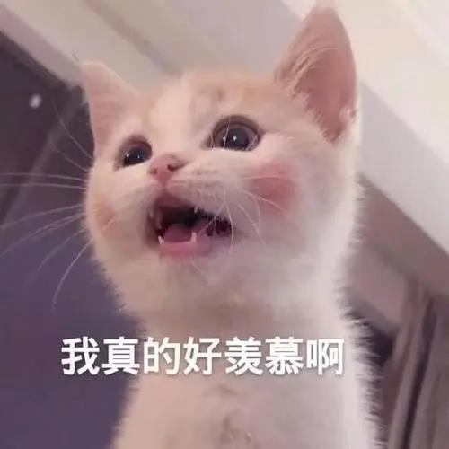 去眼袋手术