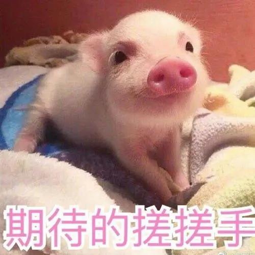 去眼袋手术