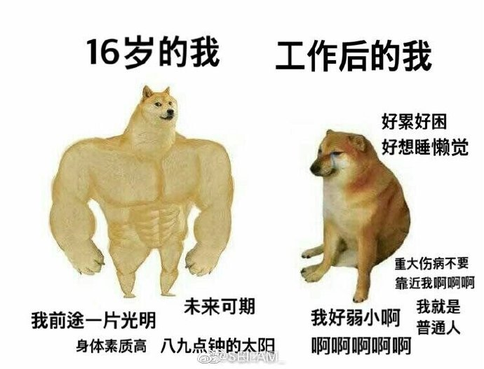 去眼袋手术