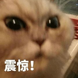去眼袋手术
