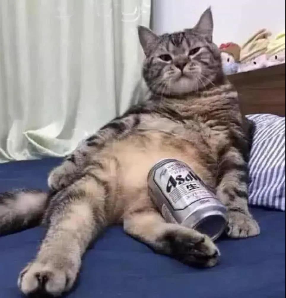 去眼袋手术