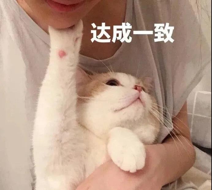 面部提升术