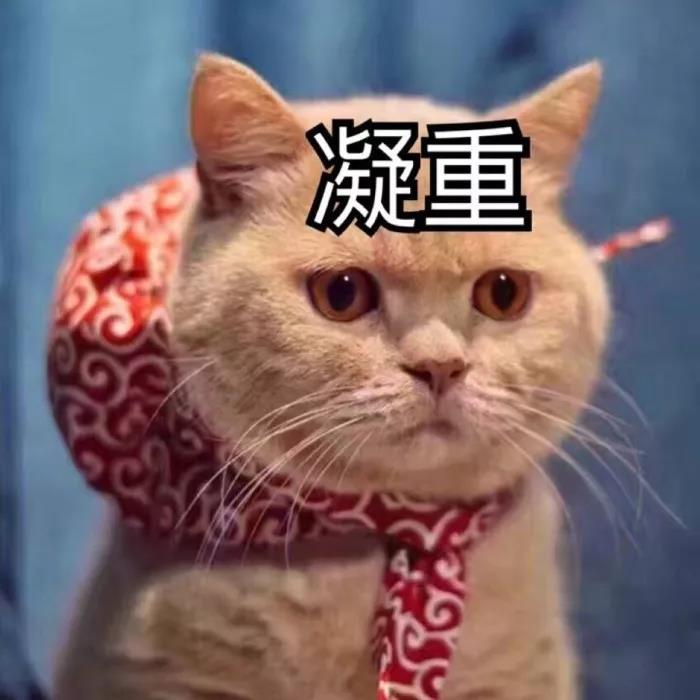 双眼皮手术