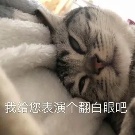 双眼皮手术