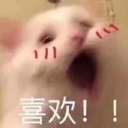 双眼皮手术