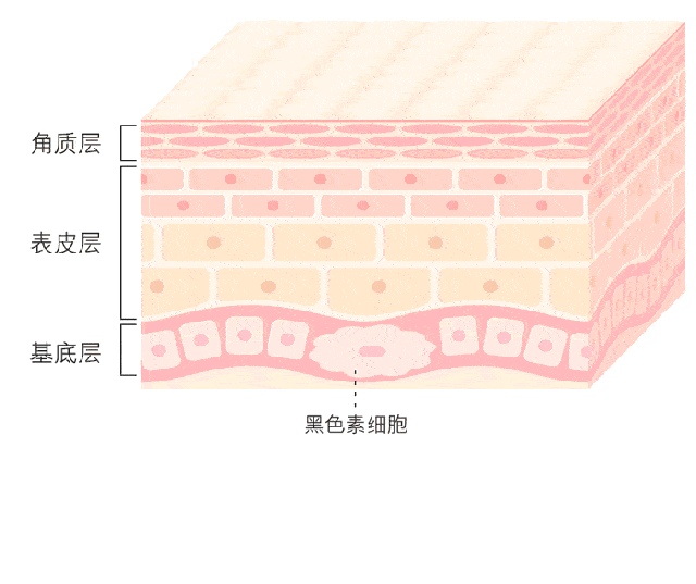 超皮秒祛斑