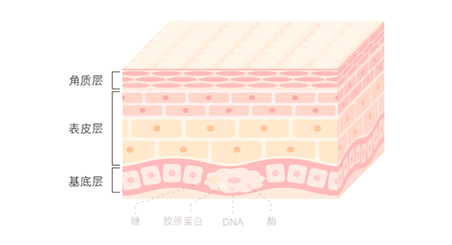 超皮秒祛斑