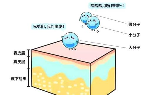 长效玻尿酸