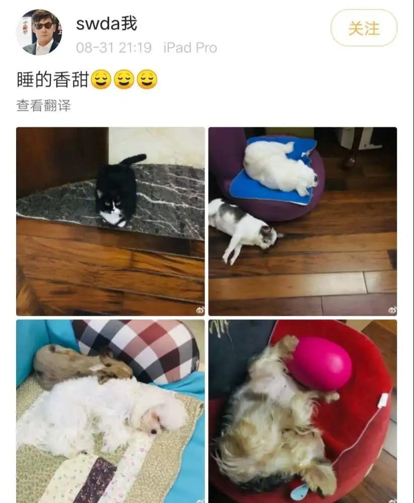 去眼袋手术