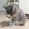 长效玻尿酸