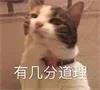 长效玻尿酸