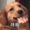 长效玻尿酸