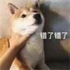 长效玻尿酸