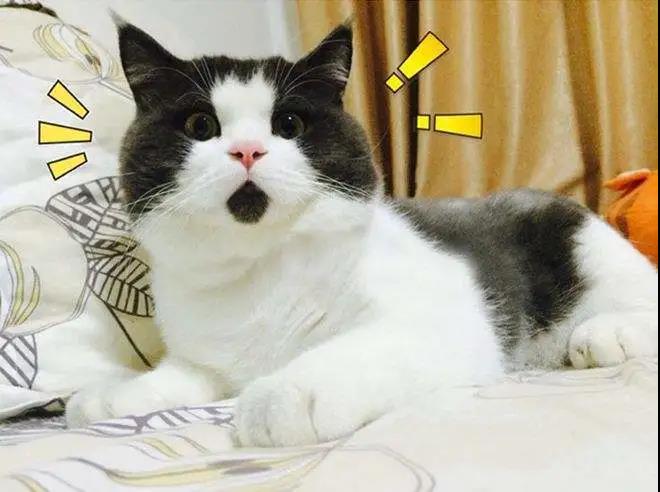 超声波减肥