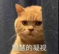 双眼皮手术