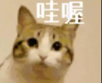 去眼袋手术