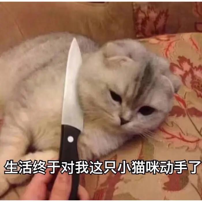 超皮秒祛斑