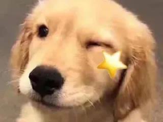 双眼皮手术
