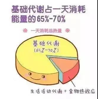 易胖体质怎么减肥?吸脂减肥可以减轻体重吗?885 易胖体质怎么减肥?吸脂减肥可以减轻体重吗?885