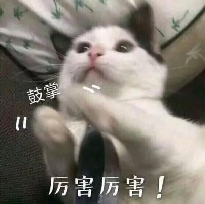 祛斑怎么做？用超皮秒祛斑可以吗？127