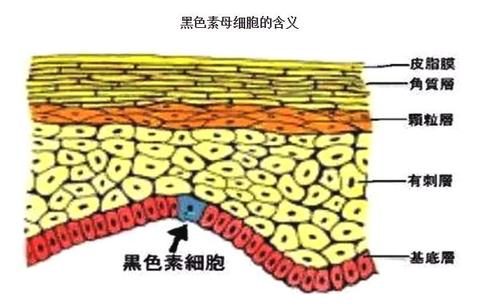 祛斑手术哪家强?超皮秒祛斑管用吗?327 祛斑手术哪家强?超皮秒祛斑管用吗?327