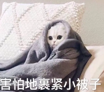 去眼袋手术