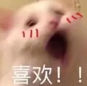 去眼袋手术